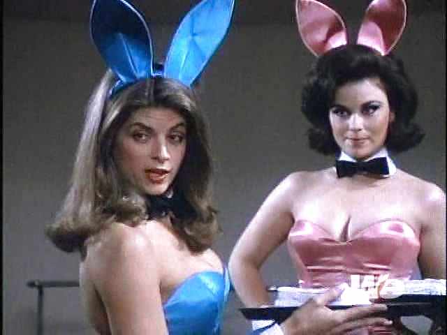 Amo a kirstie iii
 #34903337