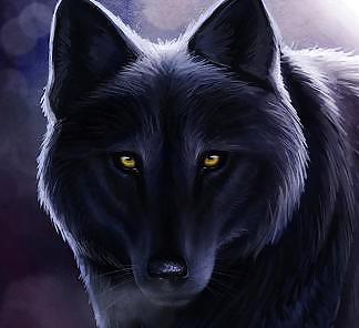 Avatares de lobos
 #23433930