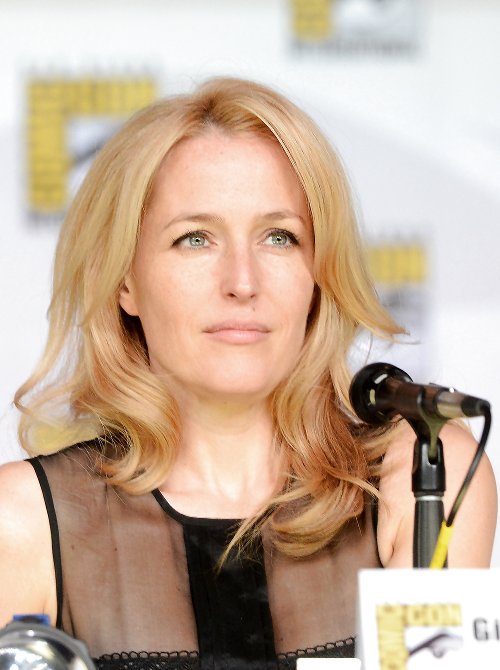 Gillian Anderson #30056294