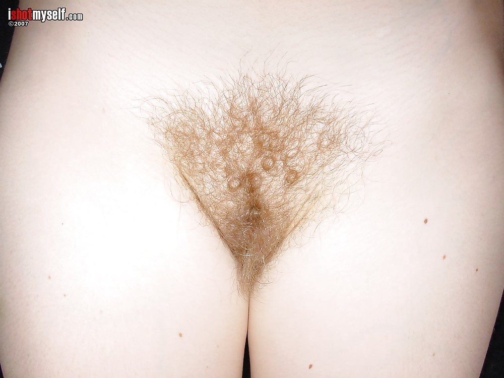 ブッシュを救え 
 #36596085