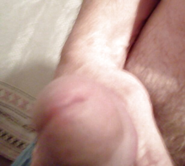 Mein Rudel Und Meine Fertigen #39598506