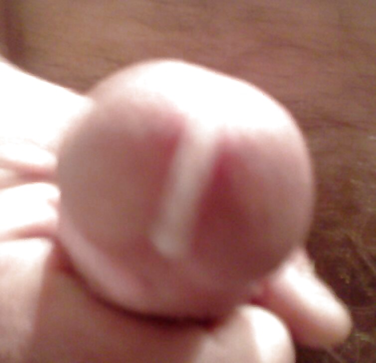 Mein Rudel Und Meine Fertigen #39598519