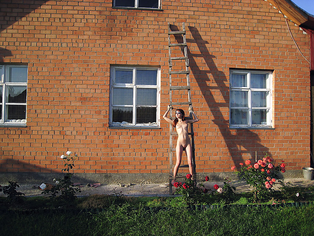 ブロンド
 #37438454