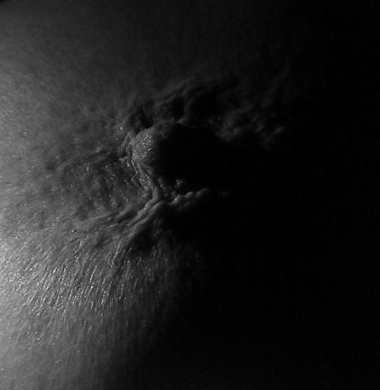 Up close  #35849326