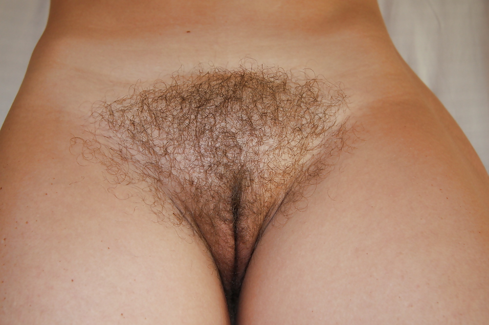 Wife hairy pussy 2 #26545663
