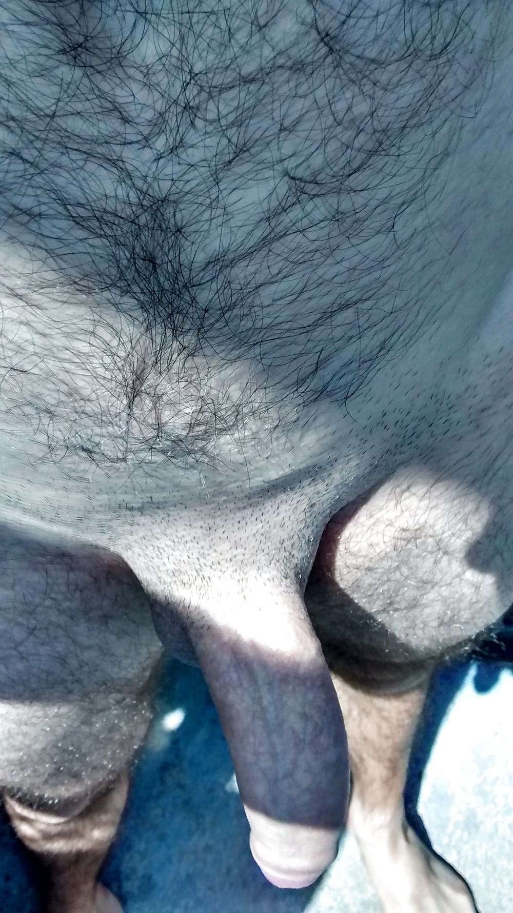 Showing my magnificent cock to the neighbors! #29453640