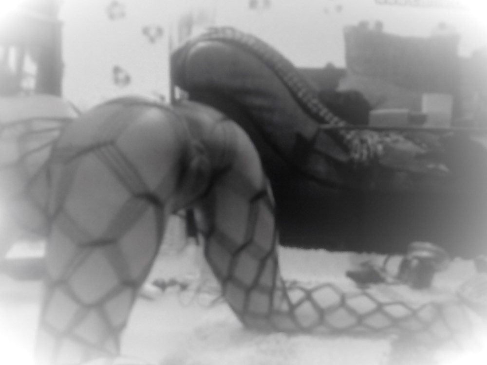 ネッツ
 #36522519