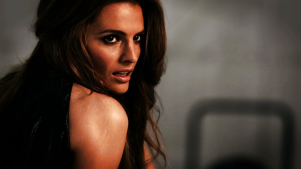 Stana Katic - Perfection #33304087