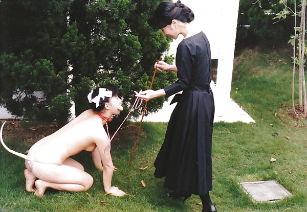 彼女たちは良いドレスを着ている
 #40342112