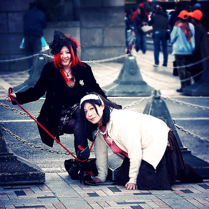 彼女たちは良いドレスを着ている
 #40342165