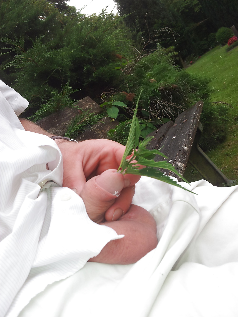 ぽっちゃりシュワンツデ子 
 #32725004