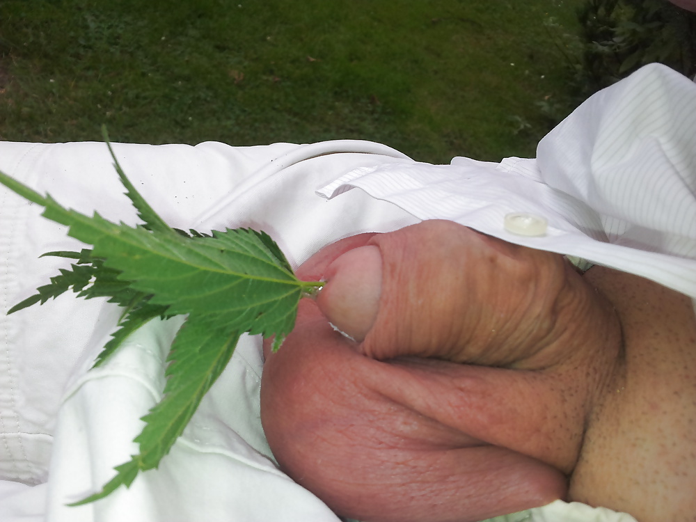 ぽっちゃりシュワンツデ子 
 #32725012