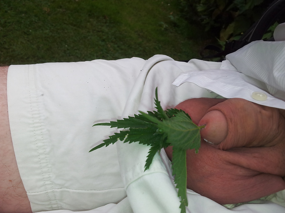 ぽっちゃりシュワンツデ子 
 #32725016