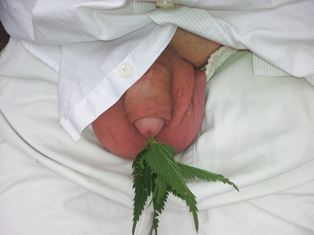 ぽっちゃりシュワンツデ子 
 #32725019