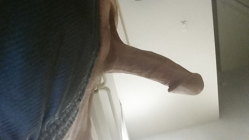 La polla de papá
 #26763977