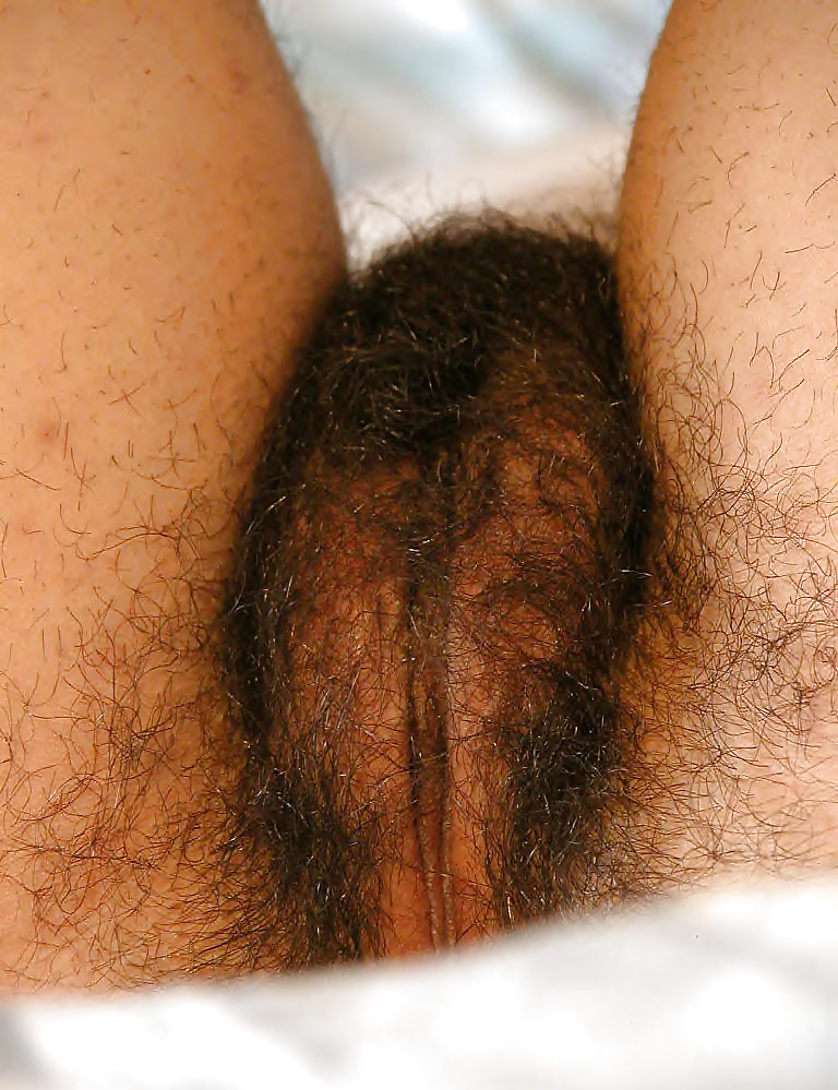 Hairy Pussies 1 #30000057