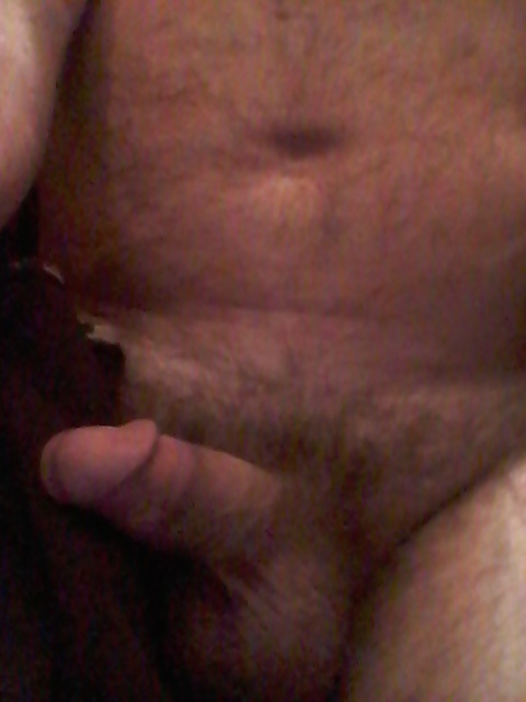 モーニングウッド 
 #26963441