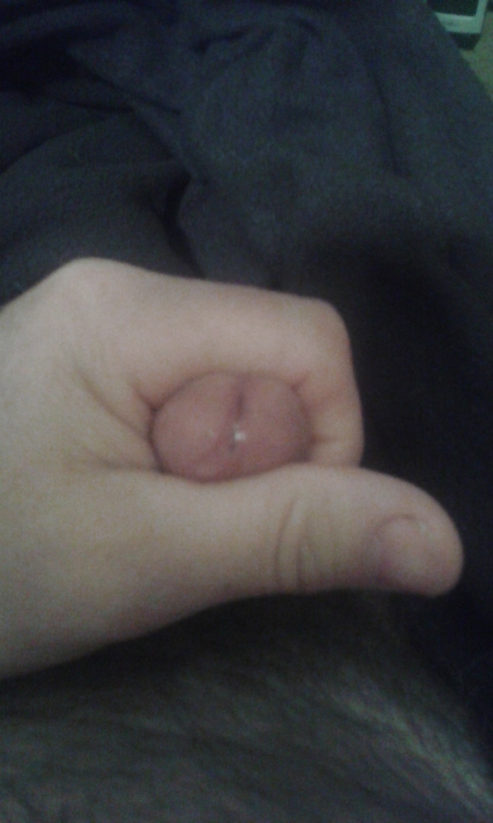 モーニングウッド 
 #26963456