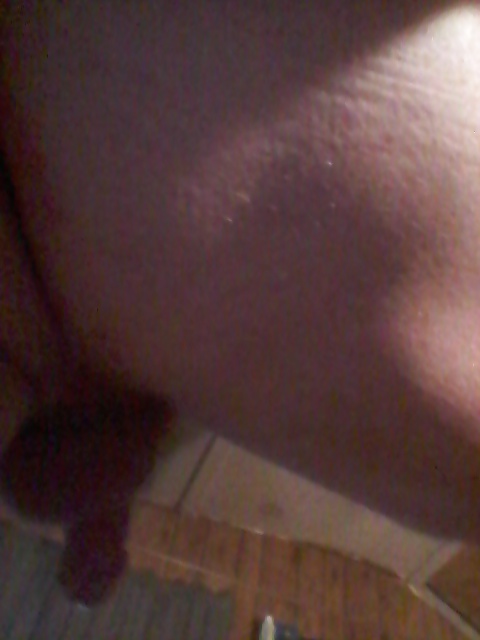 Madera de la mañana 
 #26963485