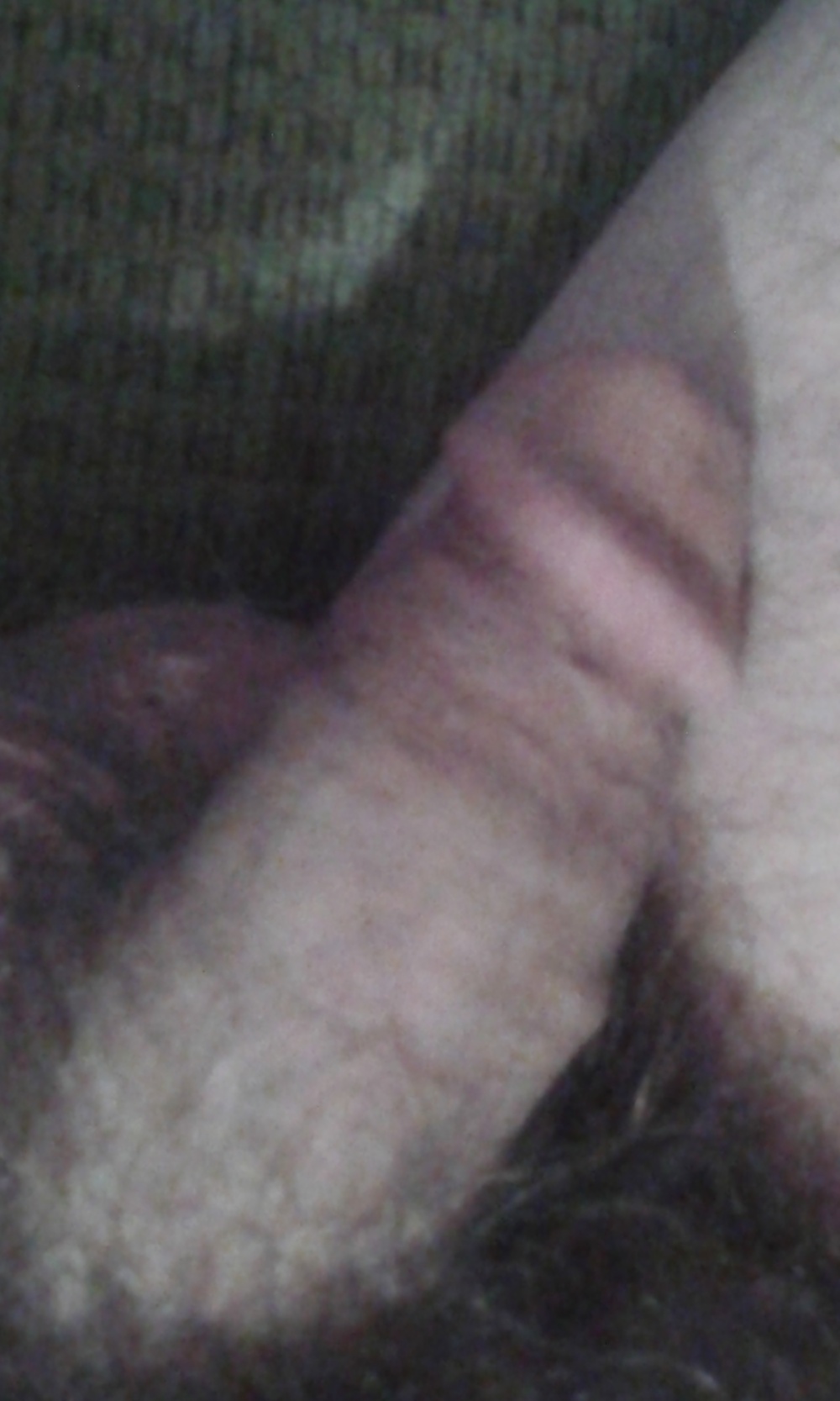 モーニングウッド 
 #26963503