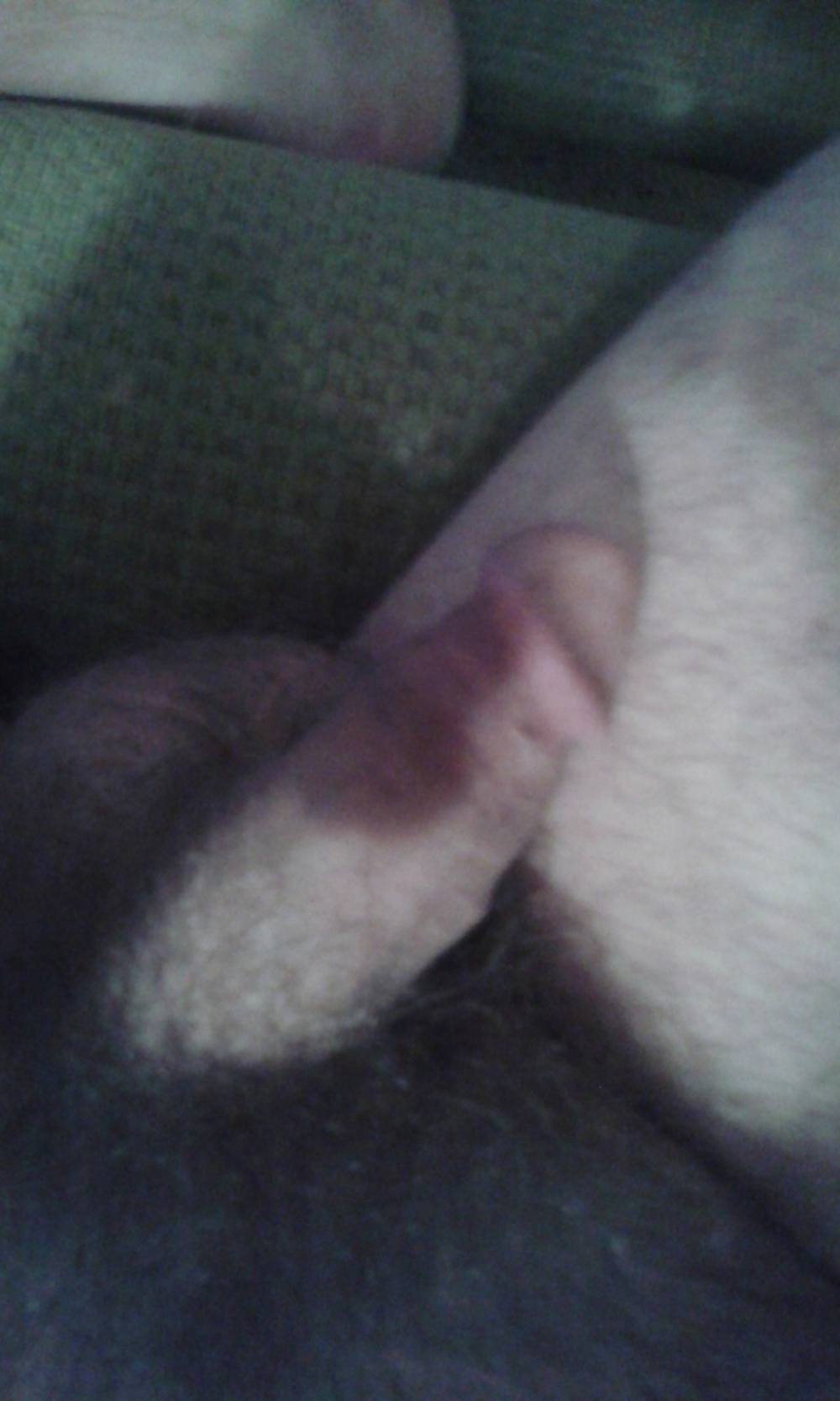 モーニングウッド 
 #26963512