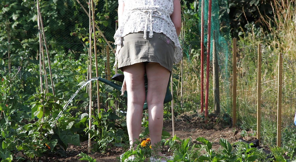 Mme jardin 4
 #31405221