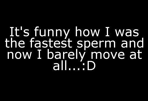 Mixed Funny and Sexy Quotes 3  #29125044