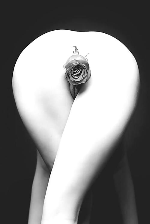 Janas Collection 1047 #35990380