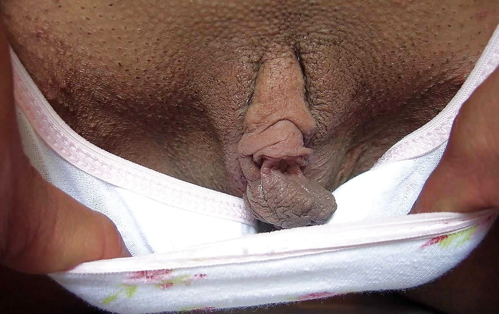 Big Labia #35417166