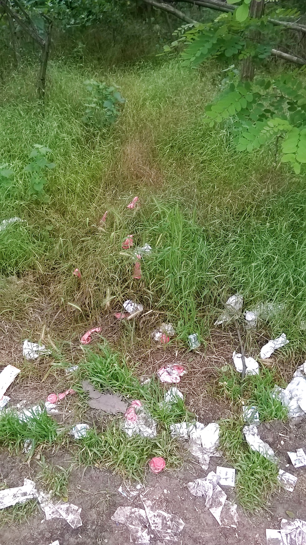 Hurenfickplaetze neben der A 0 in Budapest #33927567