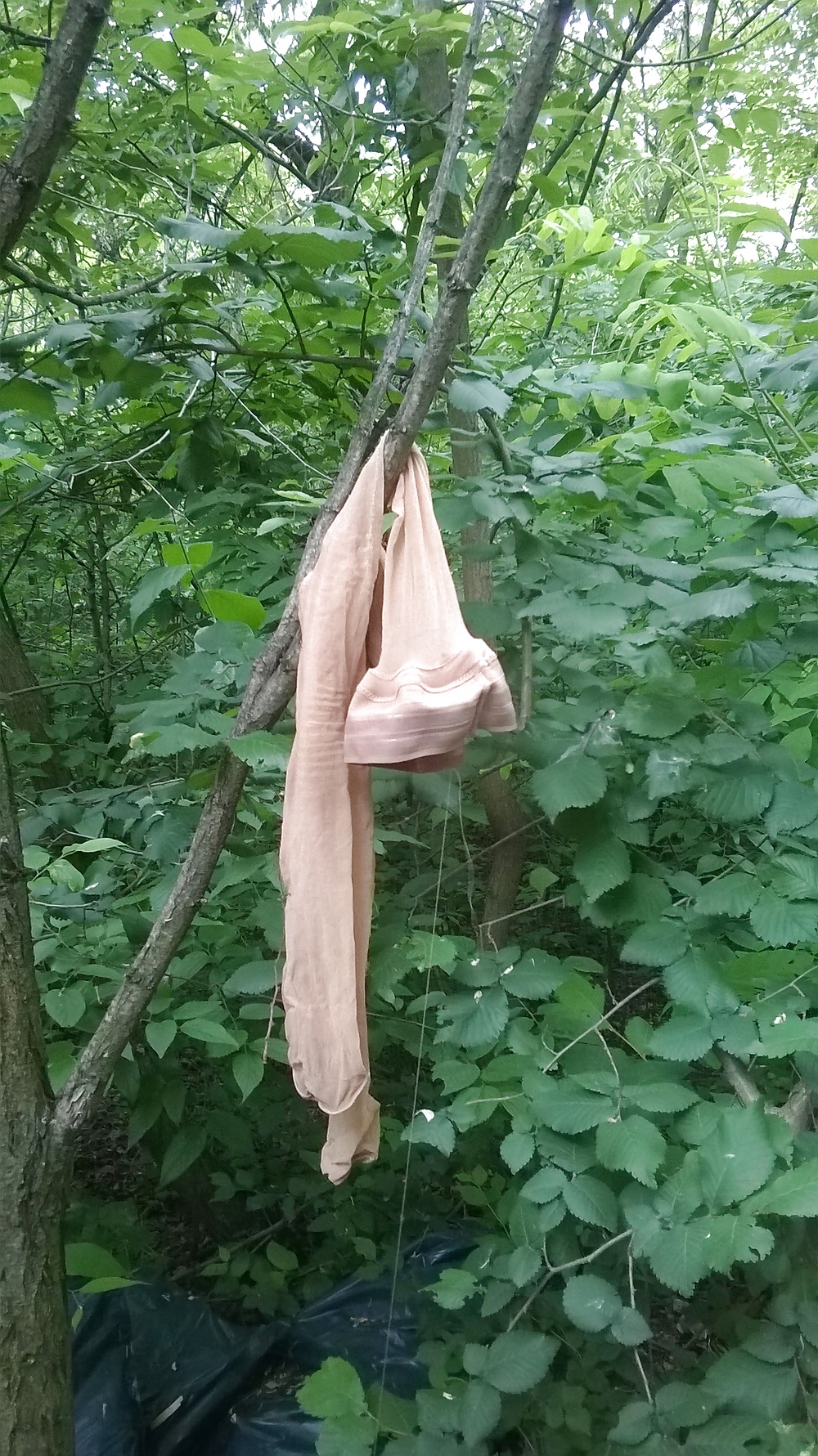 Hurenfickplaetze neben der A 0 in Budapest #33927598