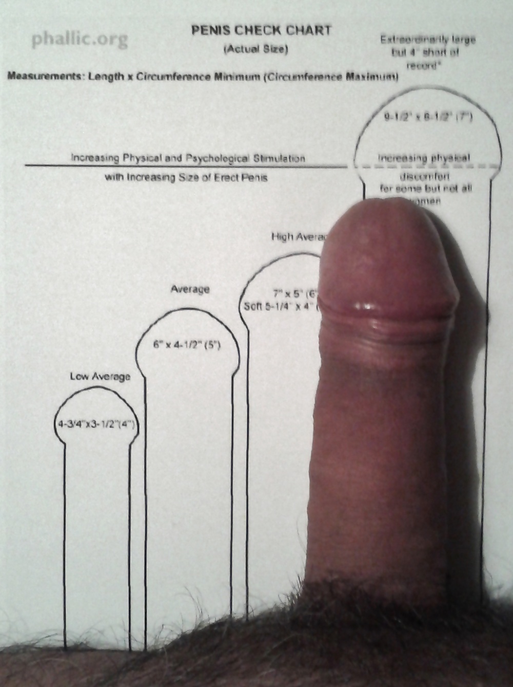 Penis PRÜFTABELLE #40646575