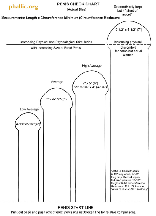 Penis PRÜFTABELLE #40646579