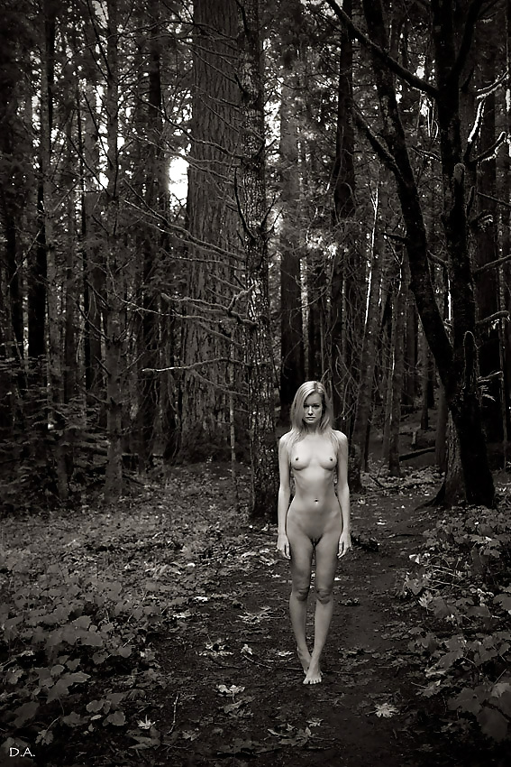 Liane et bourgeons #40911182