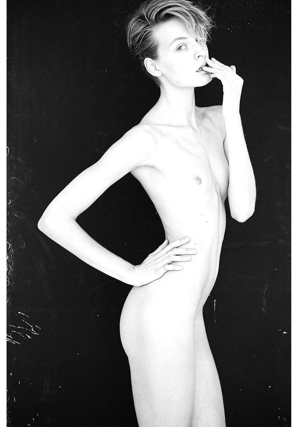 Liane et bourgeons #40911359