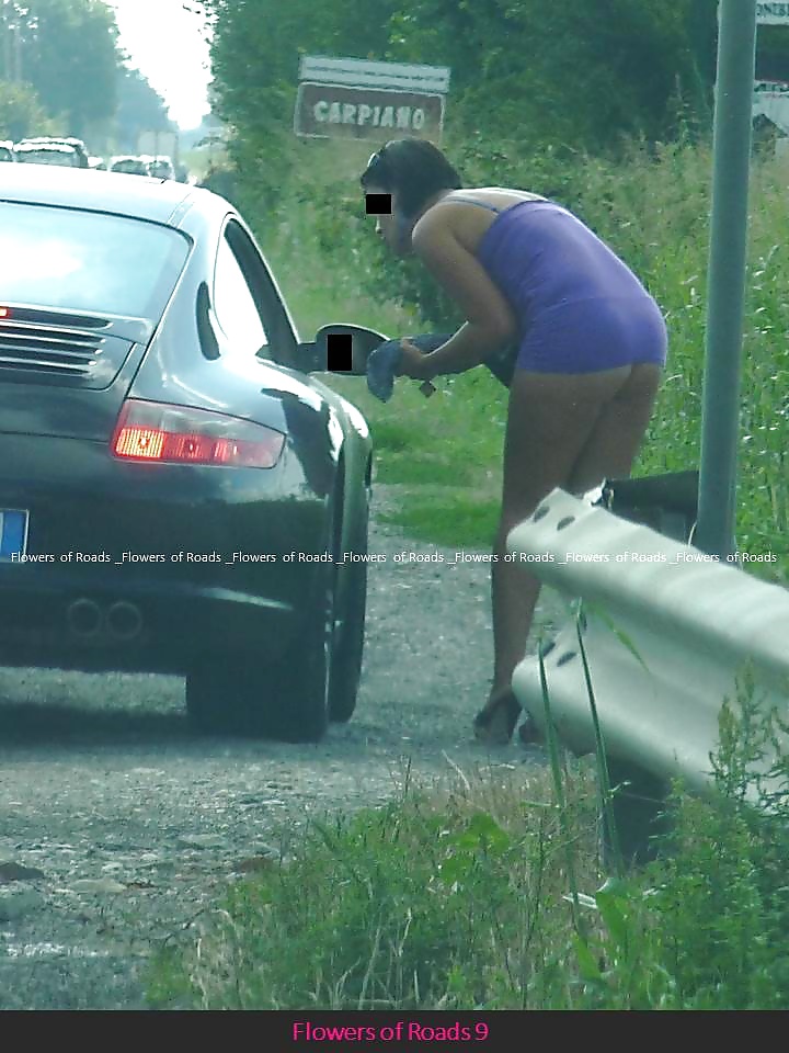 Prostituées - Hooke -nutten - Putas #31611277