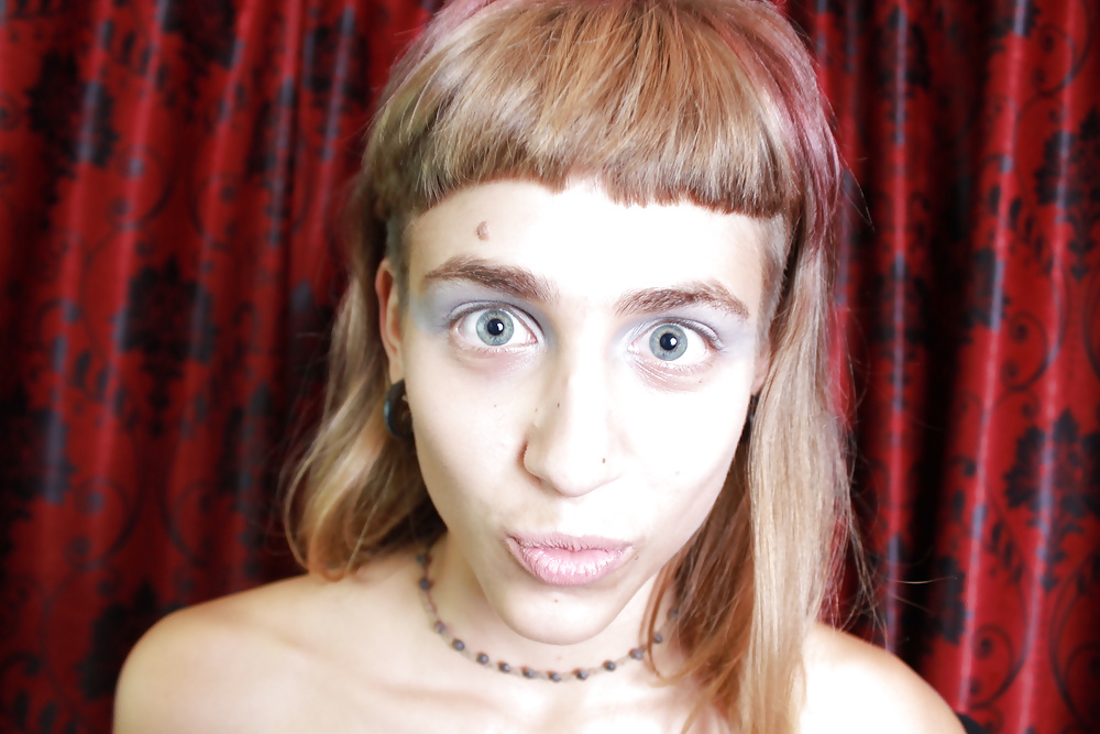 Hallo X Hamster #29582326