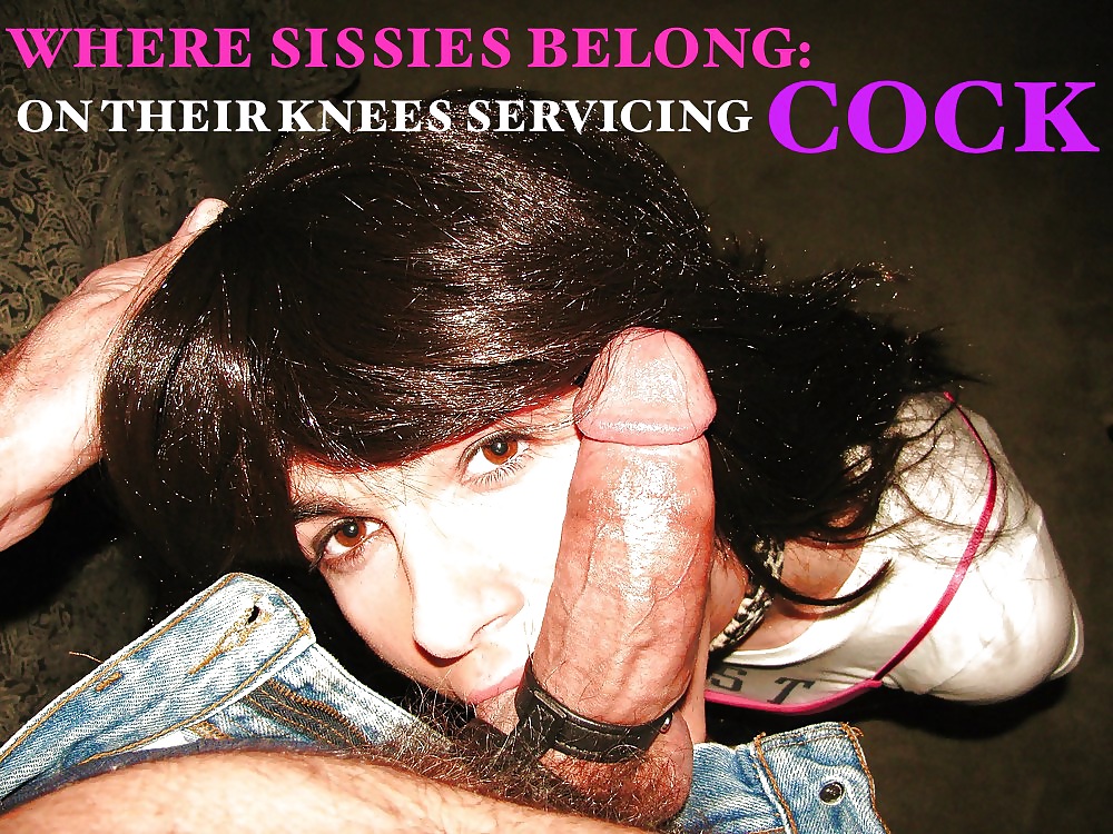 More Sissy Captions I have Made #26021274