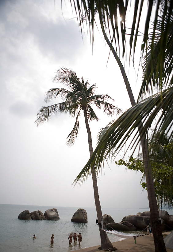 A Lazy Day At The Beach #31693542