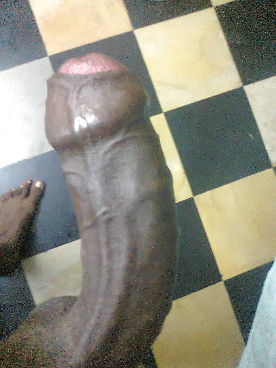 My fat black cock #24004669