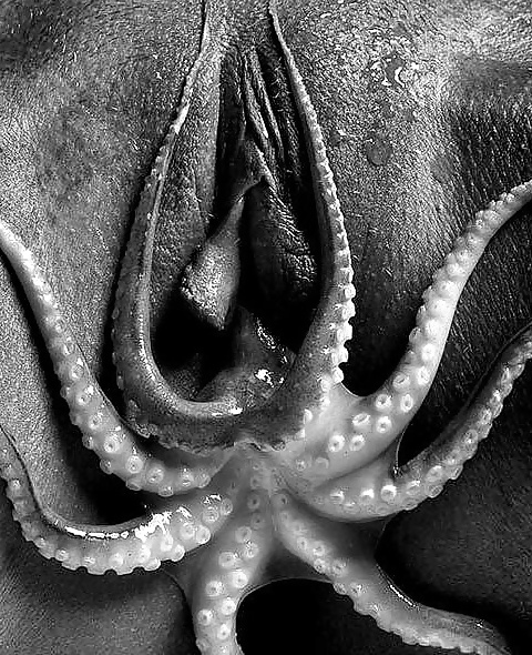 Janas art de la joie 127
 #27701769