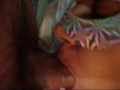 Boqueteira #25902197