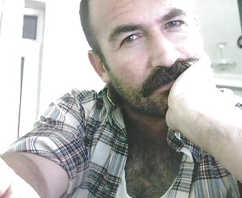 Osos para disfrutar
 #34517794