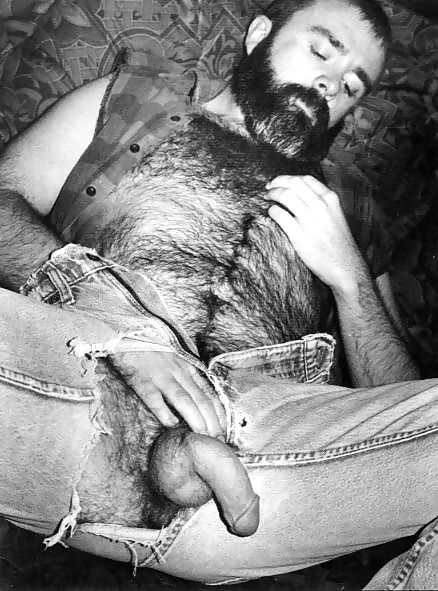 Osos para disfrutar
 #34517838