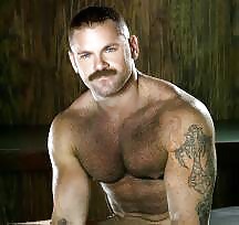 Osos para disfrutar
 #34518028