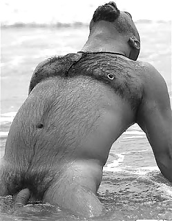 Osos para disfrutar
 #34518191