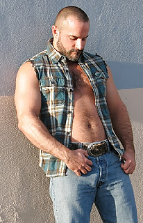 Osos para disfrutar
 #34518268