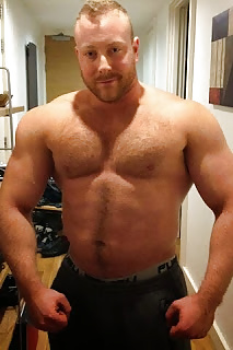 Osos para disfrutar
 #34518340