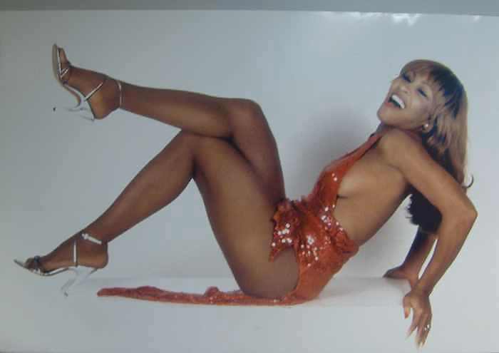 Tina Turner Ii #35581216