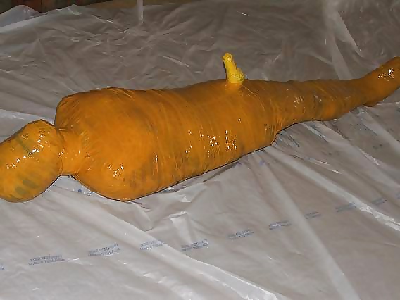 コップの中身
 #28636796